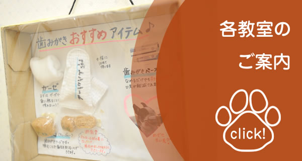 各教室のご案内