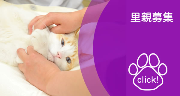 里親募集